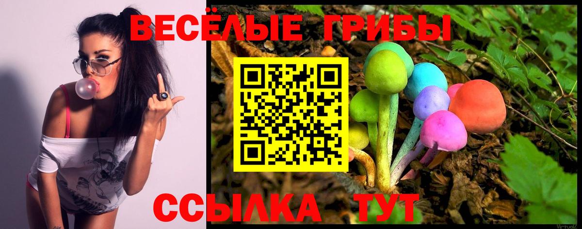 Знаменск  Галлюциногенные грибы Magic Shrooms  Вход с VPN 